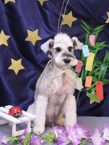 20230711イヴくん